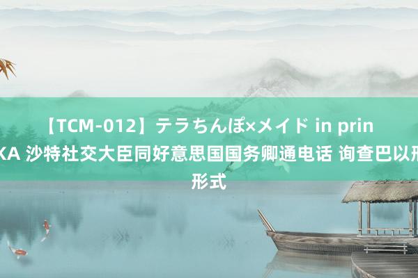 【TCM-012】テラちんぽ×メイド in prin MIKA 沙特社交大臣同好意思国国务卿通电话 询查巴以形式