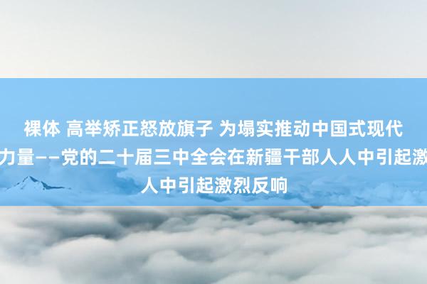 裸体 高举矫正怒放旗子 为塌实推动中国式现代化孝顺力量——党的二十届三中全会在新疆干部人人中引起激烈反响