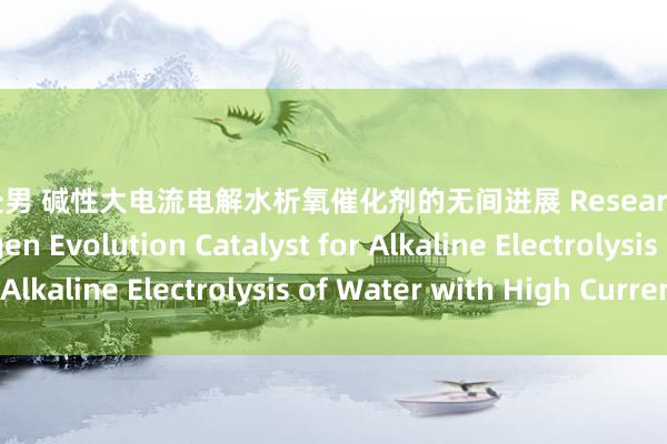 勾引 处男 碱性大电流电解水析氧催化剂的无间进展 Research Progress of Oxygen Evolution Catalyst for Alkaline Electrolysis of Water with High Current